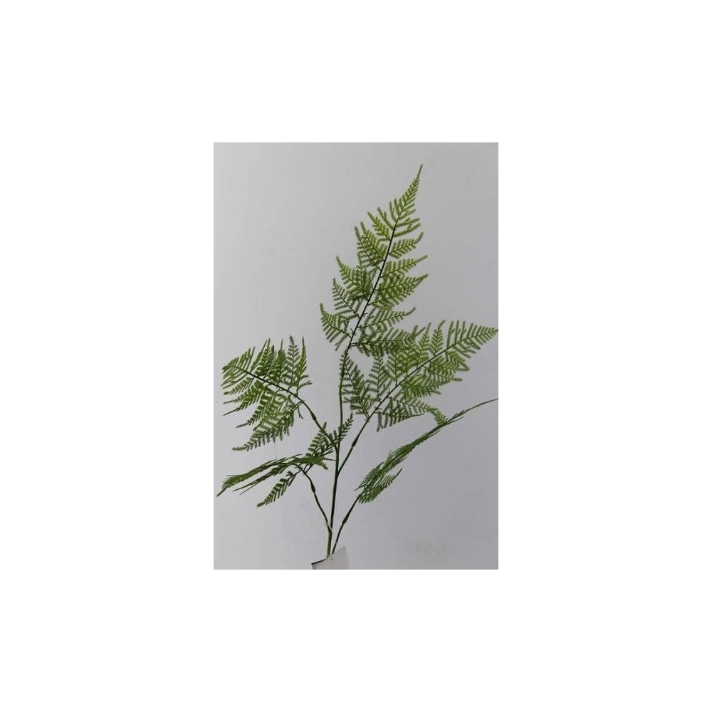 RAMO SPRINGERI X5 CM.113 VERDE